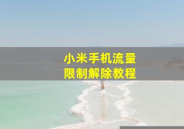 小米手机流量限制解除教程