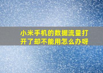 小米手机的数据流量打开了却不能用怎么办呀