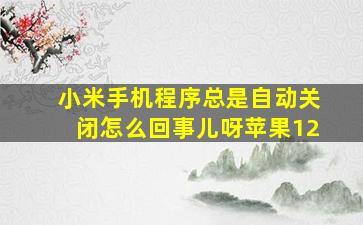 小米手机程序总是自动关闭怎么回事儿呀苹果12