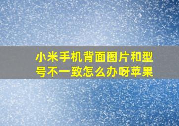 小米手机背面图片和型号不一致怎么办呀苹果