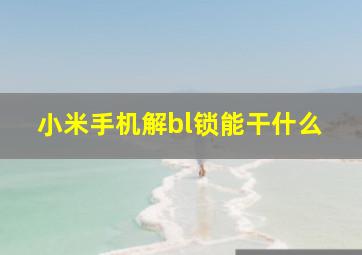 小米手机解bl锁能干什么