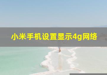 小米手机设置显示4g网络