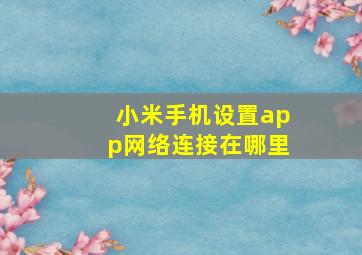 小米手机设置app网络连接在哪里