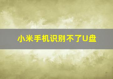 小米手机识别不了U盘