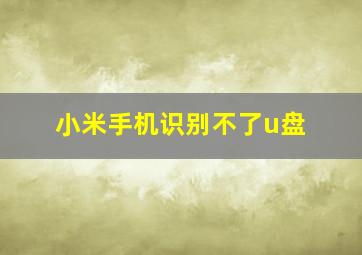 小米手机识别不了u盘