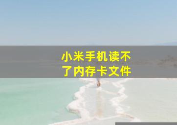 小米手机读不了内存卡文件