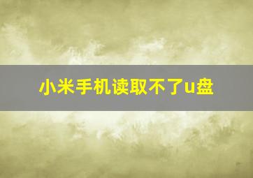 小米手机读取不了u盘