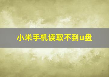 小米手机读取不到u盘