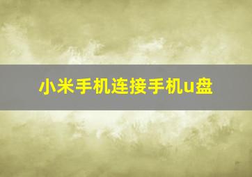 小米手机连接手机u盘