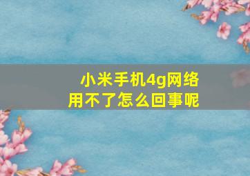 小米手机4g网络用不了怎么回事呢