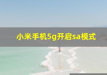 小米手机5g开启sa模式