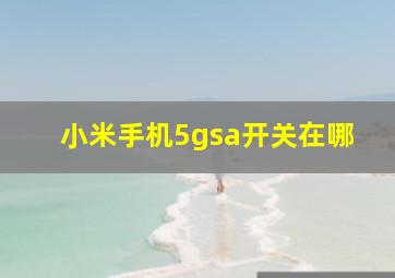 小米手机5gsa开关在哪