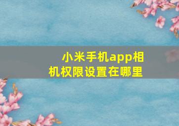 小米手机app相机权限设置在哪里