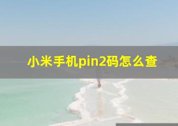 小米手机pin2码怎么查