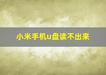 小米手机u盘读不出来