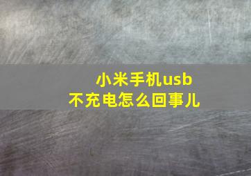 小米手机usb不充电怎么回事儿