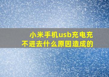 小米手机usb充电充不进去什么原因造成的