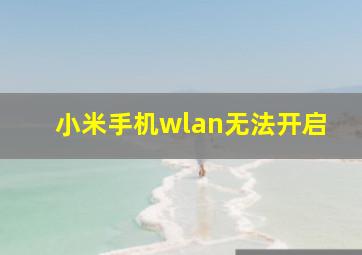 小米手机wlan无法开启