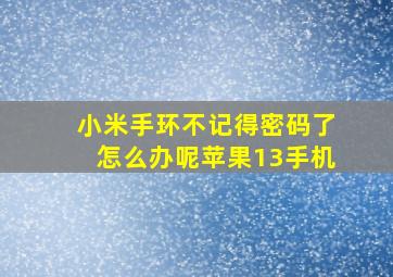 小米手环不记得密码了怎么办呢苹果13手机