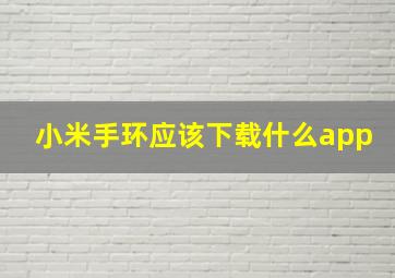 小米手环应该下载什么app