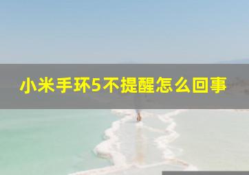 小米手环5不提醒怎么回事