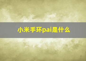 小米手环pai是什么