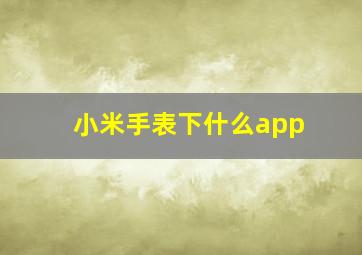 小米手表下什么app