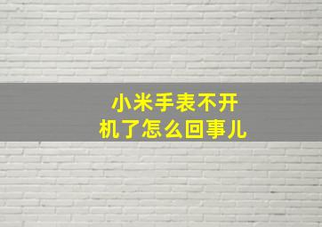 小米手表不开机了怎么回事儿