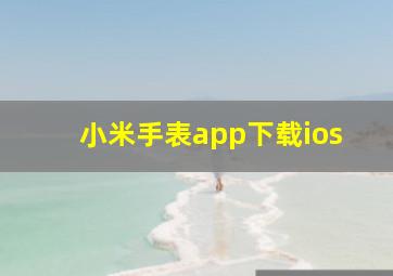 小米手表app下载ios