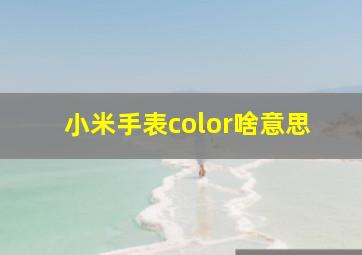 小米手表color啥意思