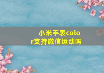 小米手表color支持微信运动吗