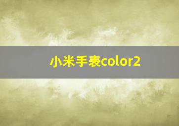 小米手表color2