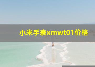 小米手表xmwt01价格