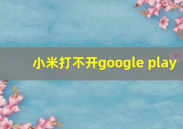 小米打不开google play