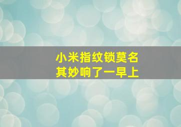 小米指纹锁莫名其妙响了一早上