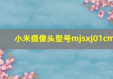 小米摄像头型号mjsxj01cm