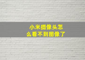 小米摄像头怎么看不到图像了