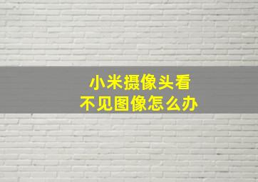 小米摄像头看不见图像怎么办