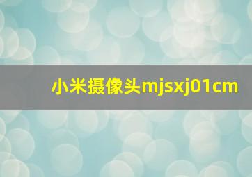 小米摄像头mjsxj01cm