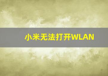 小米无法打开WLAN