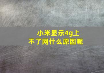 小米显示4g上不了网什么原因呢