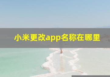 小米更改app名称在哪里