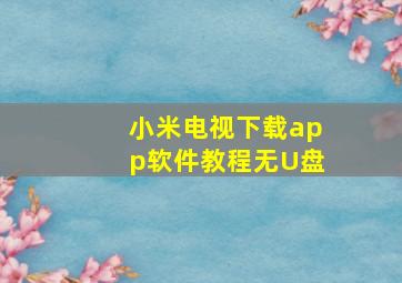 小米电视下载app软件教程无U盘