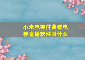 小米电视付费看电视直播软件叫什么