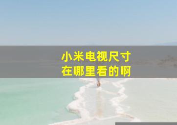 小米电视尺寸在哪里看的啊