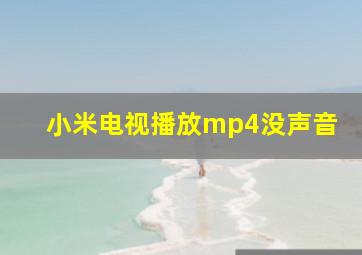 小米电视播放mp4没声音