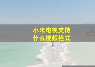 小米电视支持什么视频格式