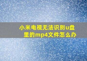 小米电视无法识别u盘里的mp4文件怎么办