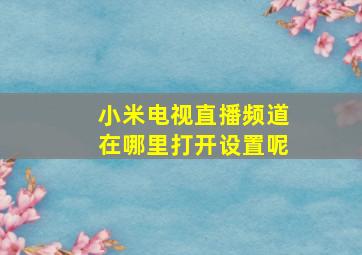 小米电视直播频道在哪里打开设置呢