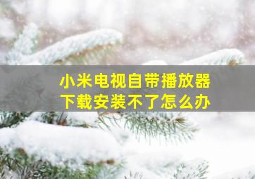 小米电视自带播放器下载安装不了怎么办